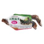 jeks натуральный коряга SS [trmt]