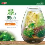 jeks стакан аквариум свеча [trmt]