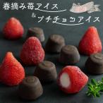 ギフト お菓子 個包装 父の日 プレゼント 食べ物 お中元 スイーツ アイス 送料無料 いちご 誕生日 苺 チョコ 春摘み苺アイス＆プチチョコアイス 40粒 fathersday