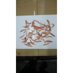 [ бесплатная доставка ] не . отделка settled o Kia mi koma se5kg