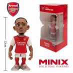 MINIX Figure Footbal
