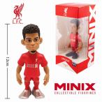 MINIX Figure Footbal