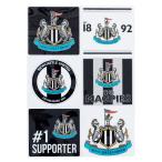  новый kasru официальный Car набор наклеек 