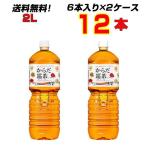からだ巡茶 ペコらくボトル2LPET 12本(6本×2ケース) 体の中からキレイ 送料無料 からだ巡茶 メーカー直送