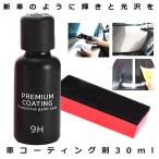 フィックスマックス2 車コーティング剤 液体セラミックコート 30ml 光沢 輝き ガラス硬化剤 スポンジ付 黄ばみ 自動車 BLACKFIX