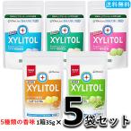  tooth . exclusive use xylitol gum lami zipper 5 sack (5 piece ) set xylitol gum oral care 21 bead 35g/1 sack 