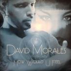 12inchレコード　DAVID MORALES / HOW WOULD U FEEL