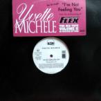 12inchレコード　 YVETTE MICHELE / I'M NOT FEELING YOU