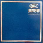 12inchレコード　 COMMON / RETROSPECT FOR LIFE feat.LAURYN HILL