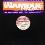 12inchレコード THE WAMDUE PROJECT / IN LOVE WITH YOU feat. IRA LEVI'S