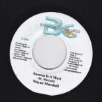 EPレコード　WAYNE MARSHALL / SUCCESS IS A MUST (ACOUSTIC SOUL)