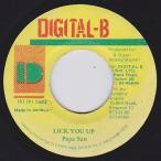 EPレコード PAPA SAN / LICK YOU UP (DEM BOW)