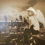 12inchレコード　 浜崎あゆみ / ENDLESS SORROW