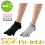 BODY-K　楽チンウォーキン　スタンダード（ローカット丈）　22-24cm・24-26cm・26-28cm（男女兼用）　IKB0016