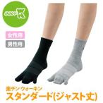 BODY-K　楽チンウォーキン　スタンダード（ジャスト丈）　22-24cm・24-26cm・26-28cm（男女兼用）　IKB0022