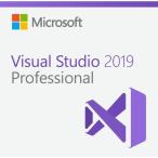 Microsoft Visual Studio Professional 2019 { [_E[h] v_NgL[/ 1PC iCZX