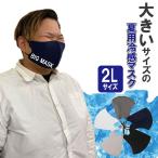 大きなマスク ギフト 大きいサイズの夏用冷感2Lサイズ 接触冷感スポーツマスク 耳が痛くならない 5枚入り 個別包装 大人用 送料無料 フェザーストア