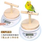 высокая точность весы 0.1g измерение маленькая птица для bnchou длиннохвостый попугай птица. масса управление se регулирование маленькая птица для маленькая птица здоровье управление T type жердочка имеется домашнее животное птица цифровой весы маленький 