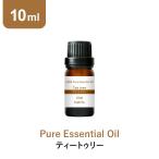 セール アロマオイル ティートゥリー 10ml ティーツリー ティーツリーオイル 精油 アロマ エッセンシャルオイル feellife 100%天然 ピュア ウッド系