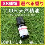 セール アロマオイル 38種から選べる 10ml×1本 アロマオイル 精油 エッセンシャルオイ ル 100%  天然 feellife  単品 ラベンダー ローズ