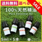 クーポンで10%OFF アロマオイル セット 選べる20種 5ml×5本 精油 エッセンシャルオイル 100%ピュア   ラベンダー ローズゼラニウム ベルガモット