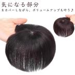 部分ウィッグ 頭頂部 ヘアピース 白