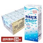ショッピングカルピス エルビー カルピスウォーター 250ml 紙パック 24本 1ケース 送料無料