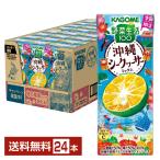 ポイント5倍 季節限定 野菜生活100 �