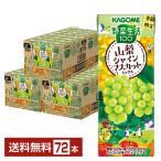 ポイント5倍 数量限定 カゴメ 野菜生活100 山梨シャインマスカットミックス 195ml 紙パック 24本×3ケース(72本)送料無料