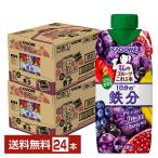 ポイント5倍 私のフルーツこれ一本 