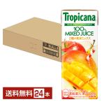  жираф Toro pi Carna 100% манго Blend 2 вид. плоды Mix 250ml бумага (LL тонкий ) 24шт.@1 кейс бесплатная доставка 