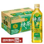 特定保健用食品 サントリー 緑茶 伊右衛門 特茶 500ml ペットボトル 24本 1ケース トクホ 送料無料