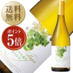 ポイント5倍 11/20解禁