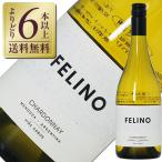 白ワイン アルゼンチン ヴィーニャ 