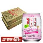 チューハイ CHOYA チョ