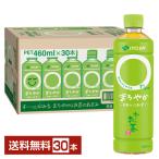 伊藤園 おーいお茶 まろやか 460ml ペットボトル 30本 1ケース 送料無料