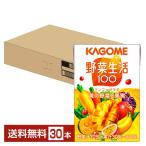カゴメ 野菜生活 100 マンゴーサラダ 100ml 紙パック 30本 1ケース 送料無料
