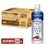 熱中症対策飲料 キリン 世界のKitchenから ソルティライチベース5倍希釈 500ml ペットボトル 24本 1ケース 送料無料