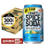 【先着順 300円OFFクーポン取得可】