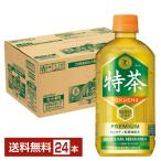 特定保健用食品 サントリー 緑茶 ホット伊右衛門 特茶 500ml ペットボトル 24本 1ケース トクホ 送料無料