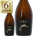 スパークリングワイン イタリア ヴ