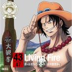 ショッピングポートガス CD/ポートガス・D・エース(古川登志夫)/ONE PIECE ニッポン縦断! 47クルーズCD in 熊本 Living Fire