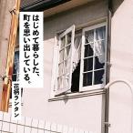 【取寄商品】CD/花柄ランタン/はじめて暮らした、町を思い出している。