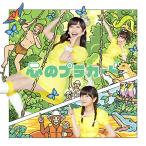 CD/AKB48/心のプラカード (CD+DVD) (通常盤/TypeC)