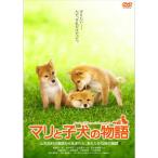 DVD/船越英一郎/マリと子犬の物語　ス