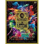 The Animals in Screen III-“New Sunrise Release Tour 2017-2018
