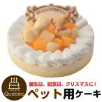 誕生日ケーキ レアチーズ ペット用 犬用 記念日ケーキ わんちゃん用 dog cake 猫ちゃんもOK