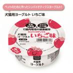 シンバイオティクスヨーグルト 乳酸菌使用  犬猫用ヨーグルト いちご味 おやつ デザート