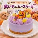  собака кошка для фиолетовый . было использовано мусс кекс Halloween сезон ограничение собака для кекс кошка для кекс домашнее животное кекс love собака love кошка 