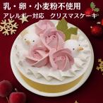 予約受付中！クリスマス限定 ヴィ